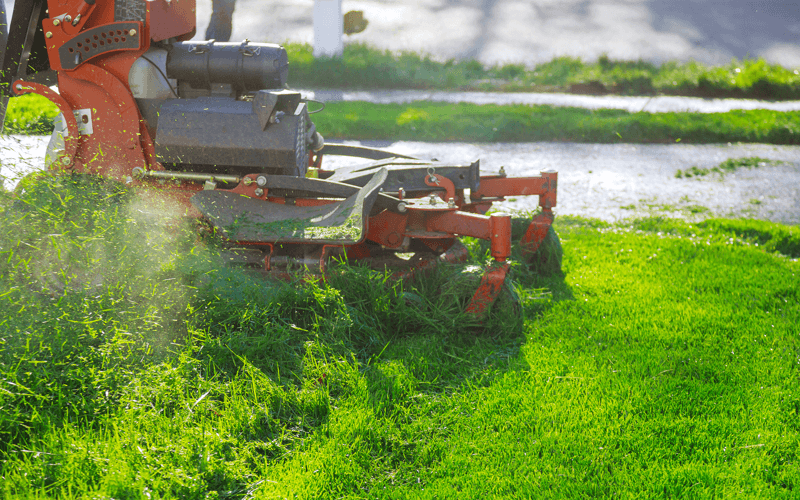 lawn-mower-powerful