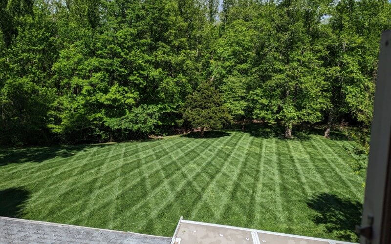 professional lawn stripes